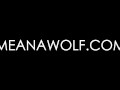 Happy Ending - Meana Wolf