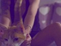 PandaVlog: due amiche si fingono finte sorellastre per far felice il motore di ricerca di Pornhub