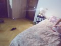 PandaVlog: due amiche si fingono finte sorellastre per far felice il motore di ricerca di Pornhub
