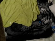 Sexy guy jacking off with lotion and shoots nasty load