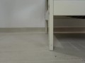 PADRONA ITALIANA - CERCA VERO SCHIAVO