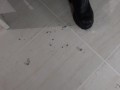 PADRONA ITALIANA - CERCA VERO SCHIAVO