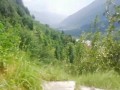 Countryside pissing - While out walking Angel Fowler takes a piss 