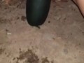My 3 zucchini videos in 1