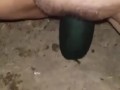 My 3 zucchini videos in 1