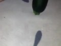 My 3 zucchini videos in 1