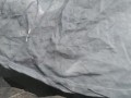 Upskirt pissing