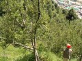 Spying on Stranger peeing girl Outdoor - first time caught pissing girl 