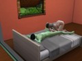 The girl made a blowjob to an alien guest and then fucked his green member Sims4