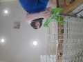 Giantess Does the Dishes Jane Judge