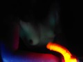 Licking orange dong