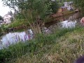 Village Exhibitionist Goes To Public Pond To Swim
