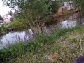 Village Exhibitionist Goes To Public Pond To Swim