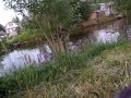 Village Exhibitionist Goes To Public Pond To Swim