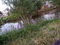 Village Exhibitionist Goes To Public Pond To Swim