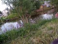 Village Exhibitionist Goes To Public Pond To Swim