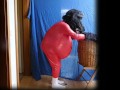 Ich sauf mir nen Wolf! :D