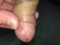 Twisting the shaft of my cock beyond 360 degrees and letting it go, observe in slow motion too
