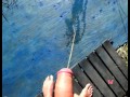 Pissing A Lot Outdoors