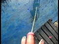 Pissing A Lot Outdoors