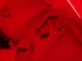 Girl caresses herself in the restroom of a nightclub