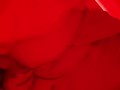 Girl caresses herself in the restroom of a nightclub