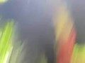 Hot British babestation teen squats and pisses in woods! So hot!