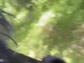 Hot British babestation teen squats and pisses in woods! So hot!