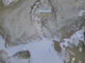 playing with nature