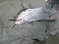 playing with nature