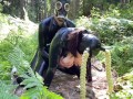 FUCKING A RUBBERDOLL IN THE WOODS