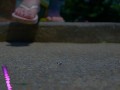 Giantess Stomps on Tiny With Bare Feet (Giantess, Feet) PREVIEW