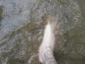 Sexy toe play in water