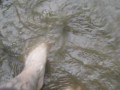 Sexy toe play in water