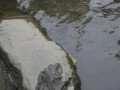 Sexy toe play in water