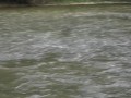 swimming