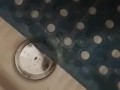 Padrona Darkshine piscia nella doccia - Pioggia Dorata (Da Onlyfans)