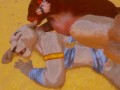 Секс кота FURRY сломанное видео