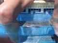 Astrid’s Hot Holiday. Part 1