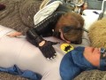 Batman Fucks Granny Catwoman