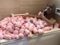 【個人撮影】総額100万円以上⁉︎ オナホール４００個で、オナホ風呂を作ってみた!  Japanese Amateur Squirt  masturbation sex  anal オナニストたけ