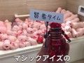 【個人撮影】総額100万円以上⁉︎ オナホール４００個で、オナホ風呂を作ってみた!  Japanese Amateur Squirt  masturbation sex  anal オナニストたけ