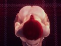 Black Widow on a special mision (3D Porn) (Marvel) (POV)