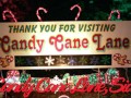 Granny's Candy Cane Lane