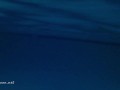 Sexy Late Night Tranquil Underwater Skinny Dipping SHORT clip