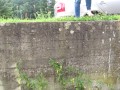 My daily public rewetting jeans