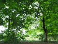 Outdoor fucking and sucking in public park latex slut
