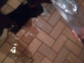 Blasting cum clouds in a tube of water with moaning cumshot