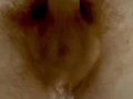 Ginger solo cumshot 