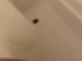 Hairy hot n sunburnt Eliza gets wet in shower